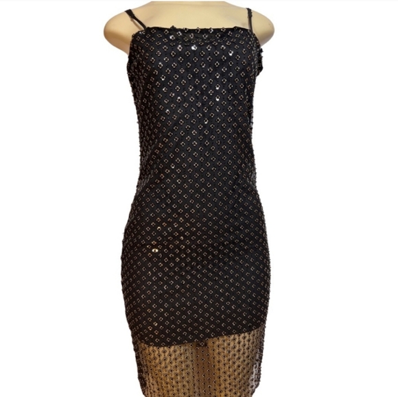 NWT GIANNI BINI Willow Mesh Dress, sz 2 - Picture 2 of 8